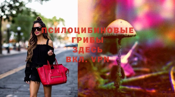 ешки Козловка