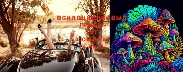 ешки Козловка
